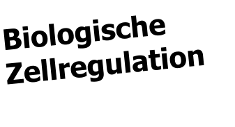 Biologische Zellregulation